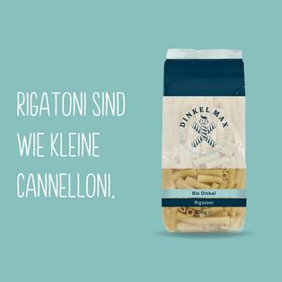 Produktpackshot der Rigatoni auf türkisenem Hintergrund und der Aufschrift "Rigatoni sind wie kleine Cannelloni"