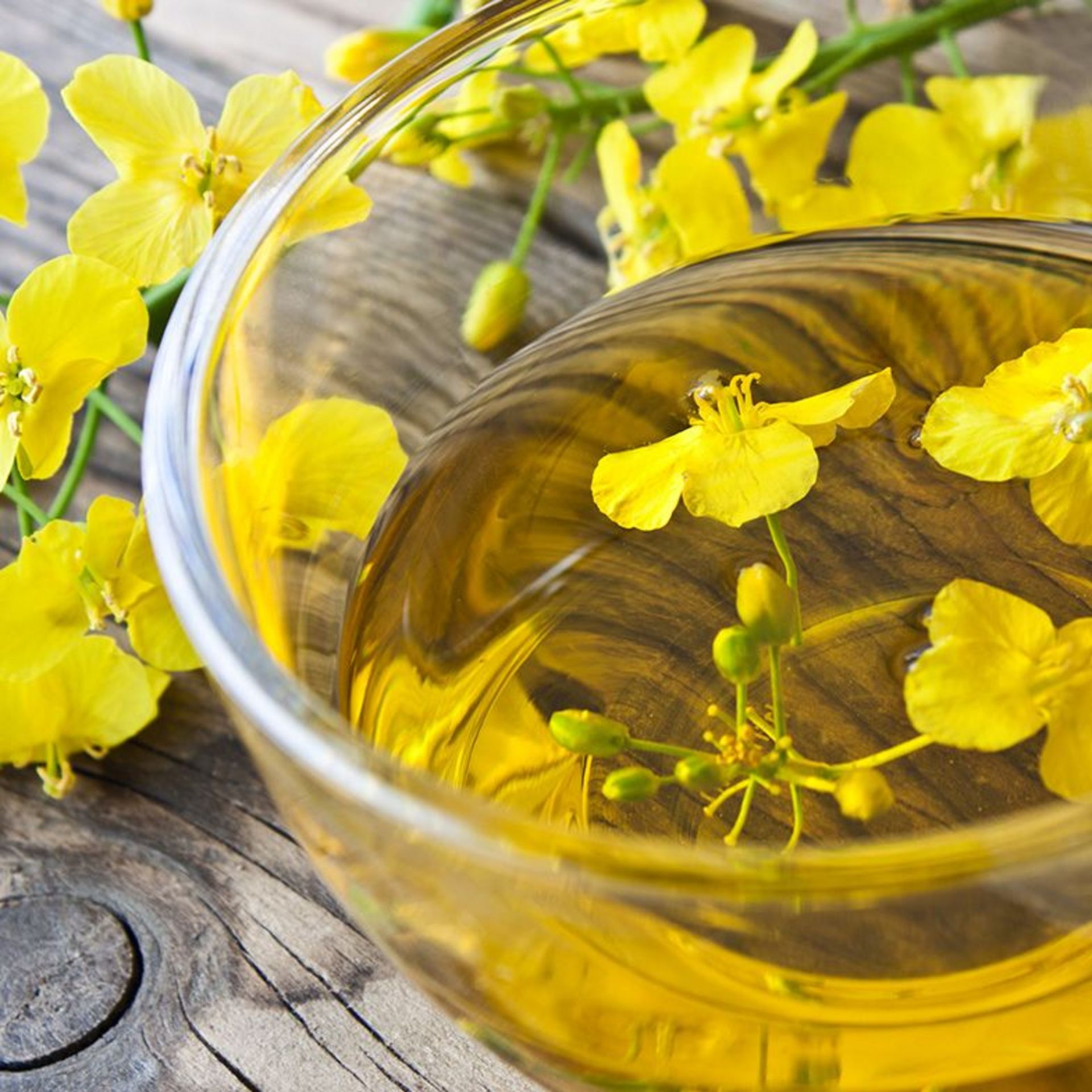 Klares Rapsöl in einer Glasschüssel mit gelben Rapsblüten auf einem Holztisch Klares Rapsöl in einer Glasschüssel mit gelben Rapsblüten auf einem Holztisch